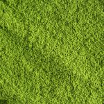 Matcha - Κουτί 15 sticks